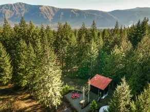 Gorge Modern Cabin- your own private world! - Image 2