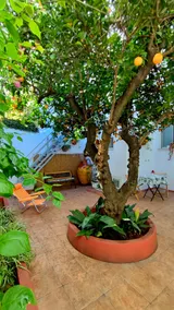 Casa Sofia - Image 4