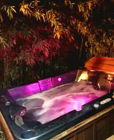 Atypical wellness escape Avignon SPA & Garden - Image 3