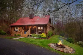 Mountain Haven Retreat 7 minutes from Brevard - Image 2