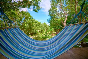 Tropical cabin with views #1 - Image 3