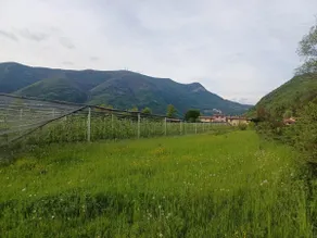 Cascina Legnago bilocale a 6 chilometri da Salò - Image 3