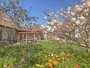 Loving seminar house in nature - incl. kitchen - Image 3
