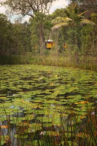Yellow Cottage - bush and beach - Image 5