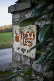 Le Chat Blanc Gîte - Image 2