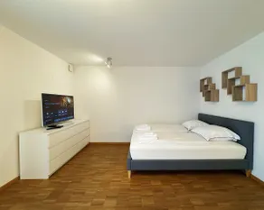 Free Parking • Fast Wi-Fi • Netflix, Disney+, TV - Image 3