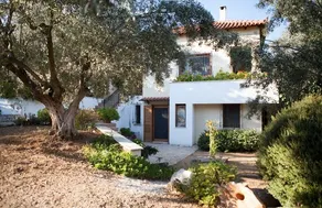 Danai's Apartment (in a beautiful olive grove) - Image 3