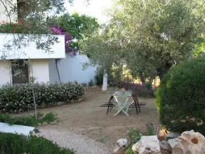 Danai's Apartment (in a beautiful olive grove) - Image 5