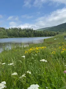 Pet Friendly, Close to Hiking and Mountain Lakes - Image 5