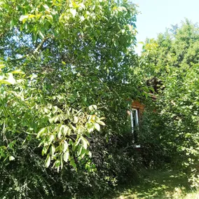 Tournesol with its private HOT TUB - Image 2