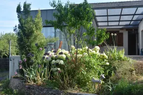 orange studio - Image 2