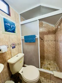 Tintorera Hostel. Suite # 9 Galapagos - Santa Cruz - Image 4