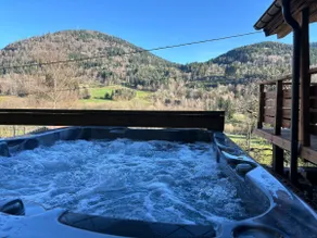 Charming Faubourg cottage & private Jacuzzi - Image 2