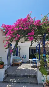Kos Palm Studios n° 1 - Image 2
