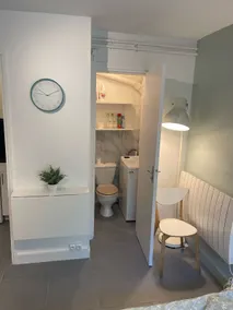 L3-Eco-friendly studio in the city center near Massy/Orly - Image 4