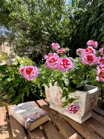 Authentic Sardinian House · Private Courtyard - Image 5