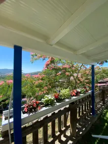 Albizia ”Zenzero” Apartment - Image 2