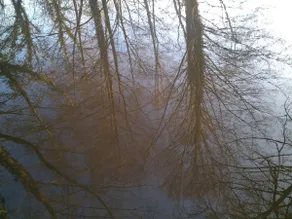Le Moulin de la Forge: loft between woods and river - Image 3