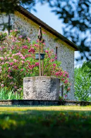 Villa Barbi: exclusive refuge among the Umbrian vineyards - Image 4