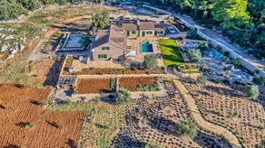 Villa Harpocrates - Image 5