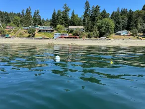 Vashon Clam Cove Cottage Waterfront with Views - Image 4
