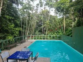 CLEAN Pool Loft in front of pool and jungle - Image 5