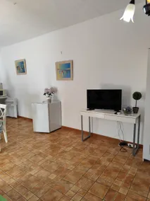 Studio Tropical - Image 3