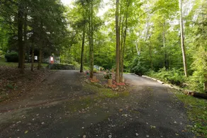 Cozy/Chic Cabin ISOLATED RETREAT! Binghamton NY - Image 3