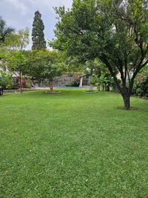 Quinta Sotoff - Image 5