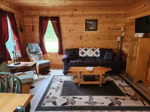 Star-gazing, quiet privacy in the forest - Image 2