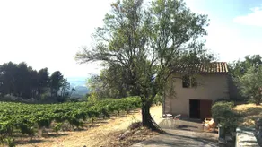 Cabin with Pool in the Vineyards of Luberon - Image 2