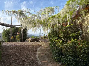 Mountain Oasis - Image 2