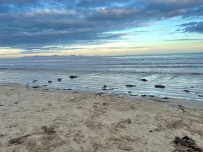 The Breakers at Waratah Bay - Image 2