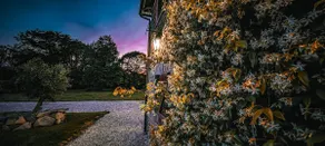 Villa TagiBao with heated pool and SPA - Image 5