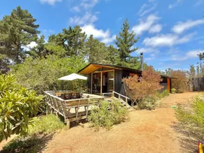 Plot in the central sector of Algarrobo - Image 2