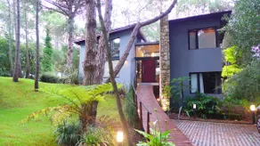 Reinamora Design House - Image 4