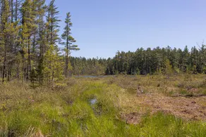 Log Cabin in the Woods - Image 5