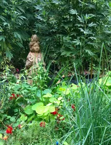 Starlight Guesthouse - Image 4