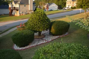 Metro Atlanta Apartment In a House in Douglasville - Image 4