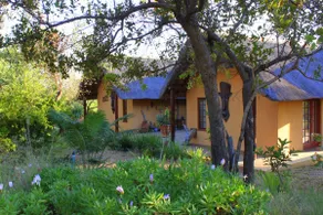 Bush Umoja Villa Kruger - dyreliv uden hegn - Image 4