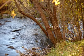 The Treehouse — River, Hot Tub, A/C, EV Charger - Image 5