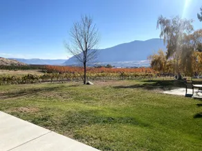 The Villa at Bianchi Vineyards - Image 3