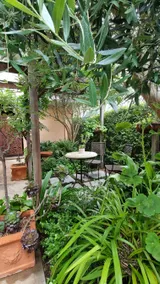 Fechner Place Barossa, 1 Bed, Wine & Platter - Image 3