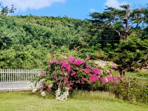 Fajardo Peaceful Place - Image 2
