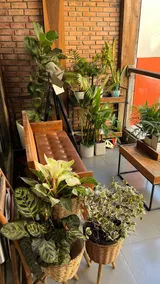 1 BR apt/Center/5mins to the lake/2mins to market - Image 5