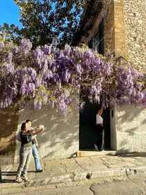 Plaka Garden with Secret Gem - Image 4