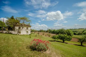 Chez Solange – Beautiful air-conditioned house - Image 4