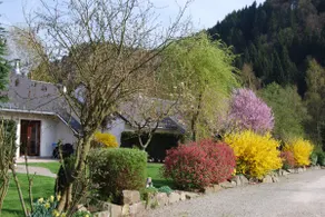 Les Vallons Gîte Bruyère n° 5, 2 to 4 people - Image 4