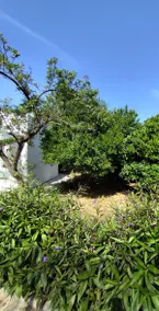 Garden Home - Image 2