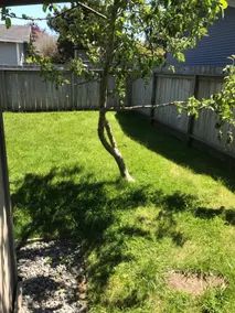 Quiet 2BR • Garage • Yard • EV Charger – Eureka - Image 3